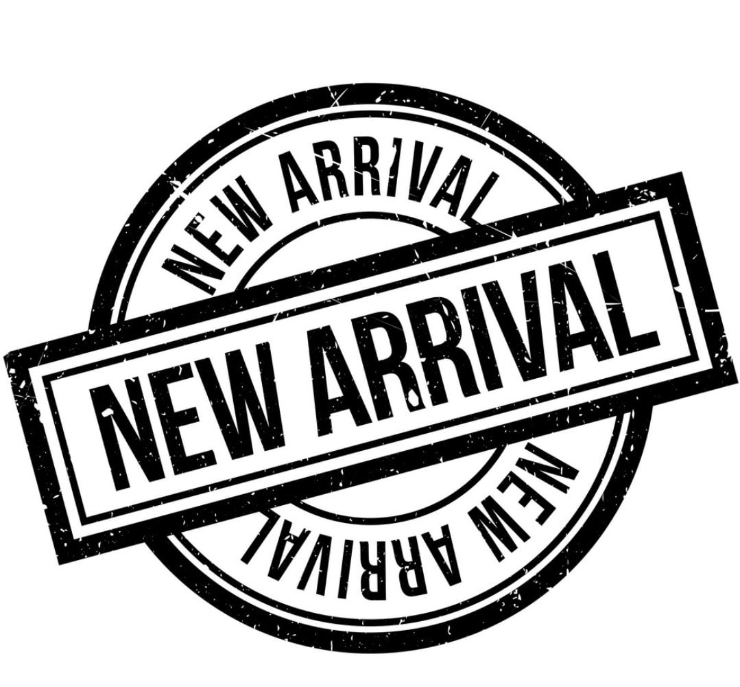 Dogs Have Plantain Chips